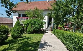Guesthouse Pavlicic